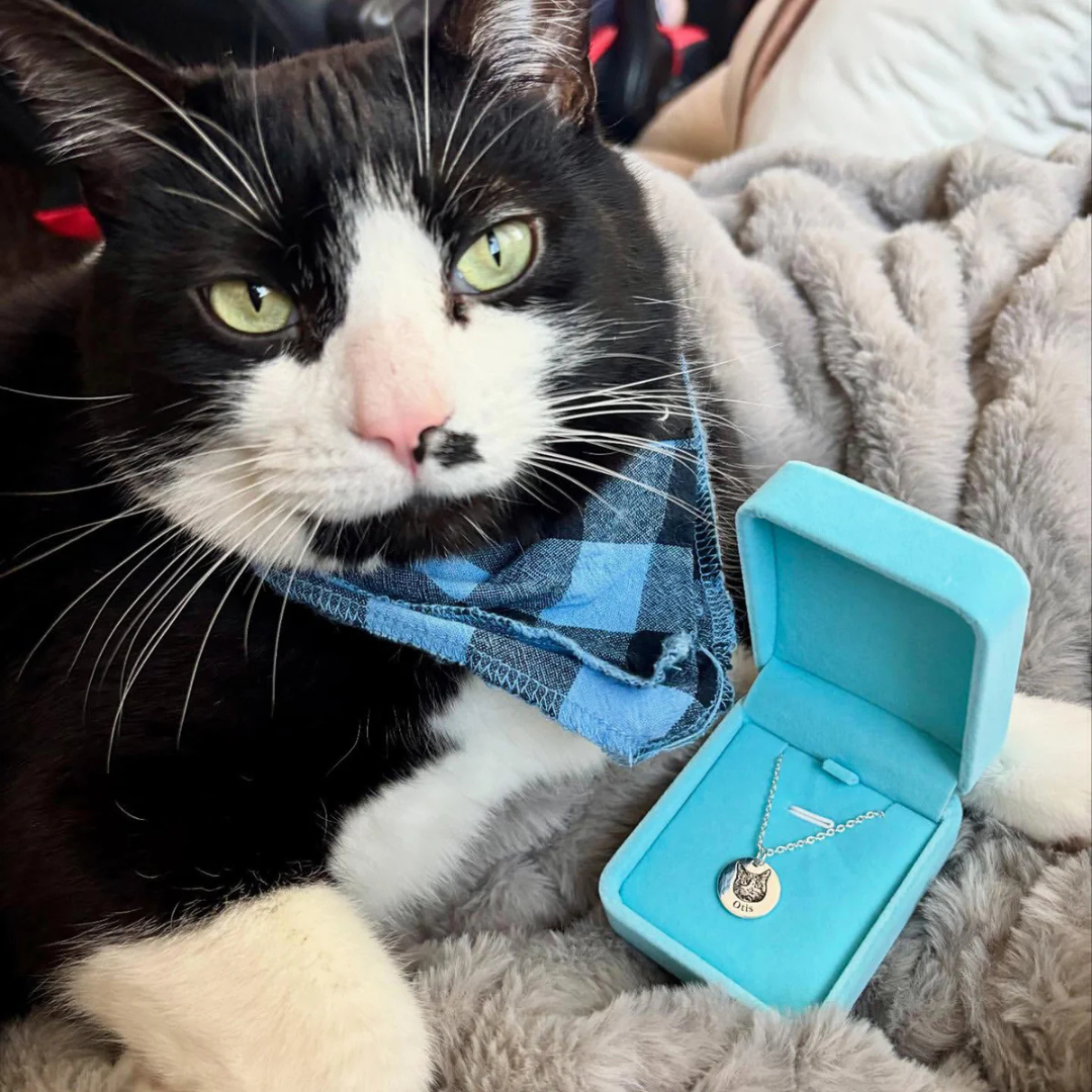 שרשרת דיוקן חיית המחמד