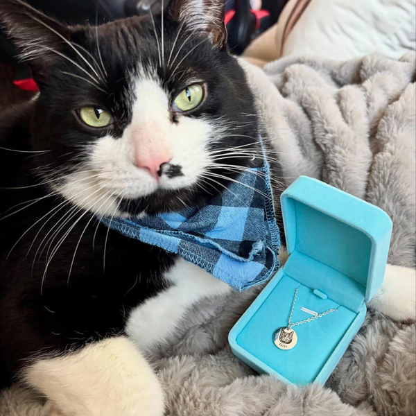 שרשרת דיוקן חיית המחמד