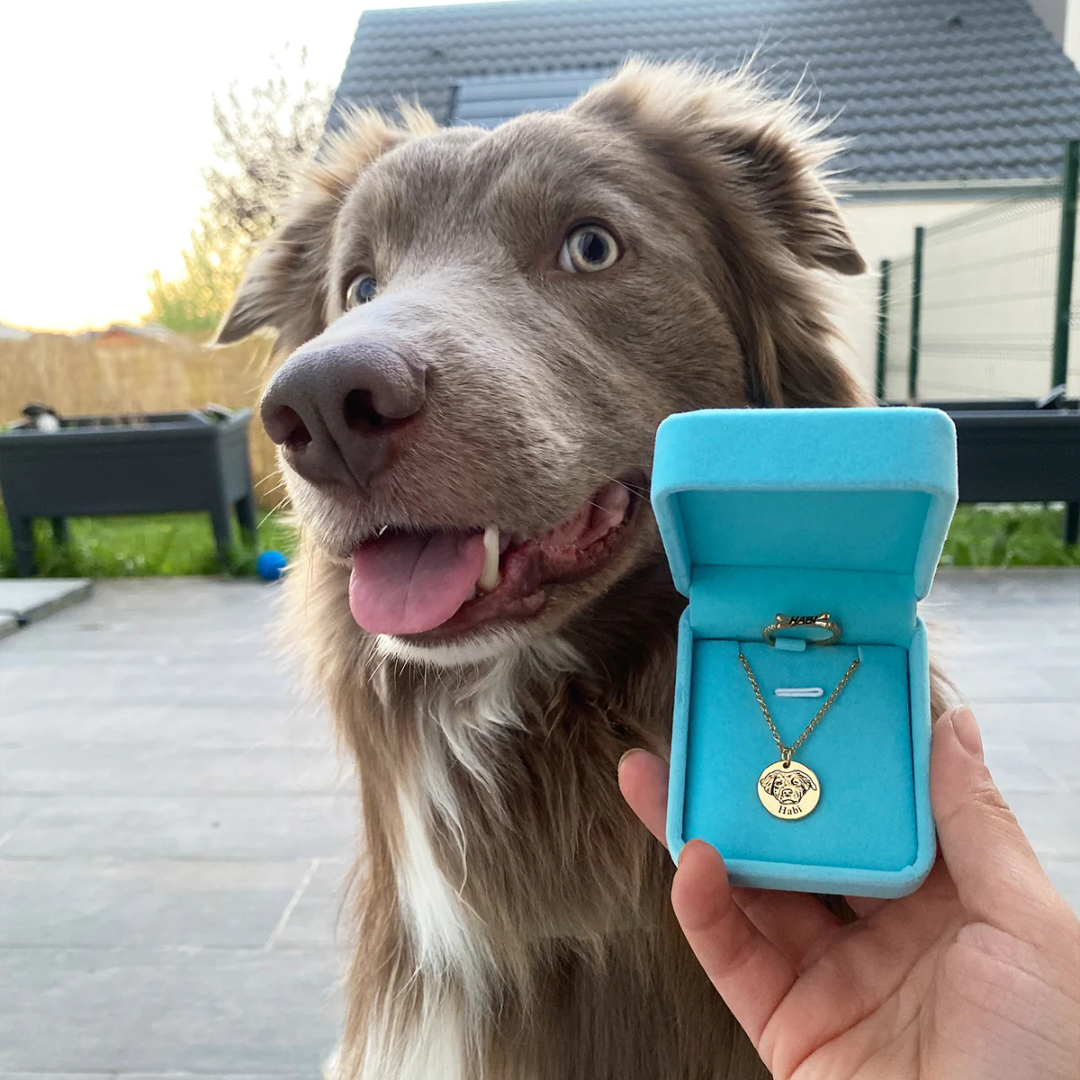 שרשרת דיוקן חיית המחמד