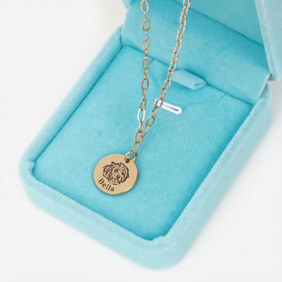 שרשרת חוליות דיוקן חיית המחמד